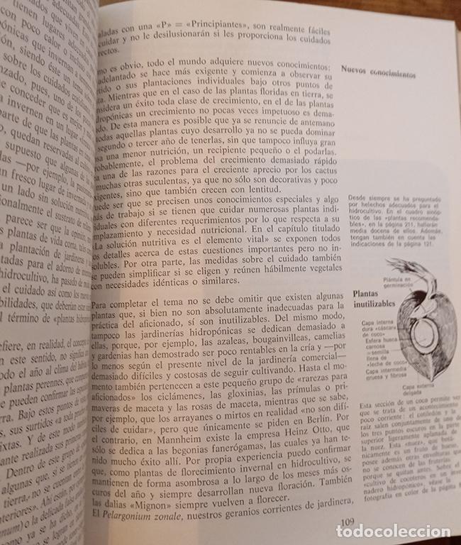 Libros: MANUAL PR&Aacute;CTICO DE HIDROCULTIVO - MARGOT SCHUBERT - Foto 2