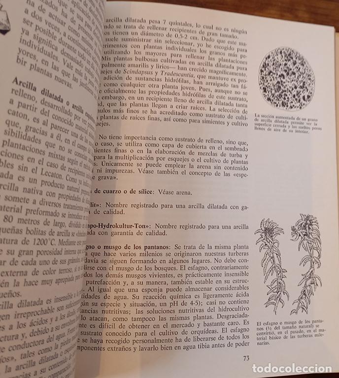 Libros: MANUAL PR&Aacute;CTICO DE HIDROCULTIVO - MARGOT SCHUBERT - Foto 3