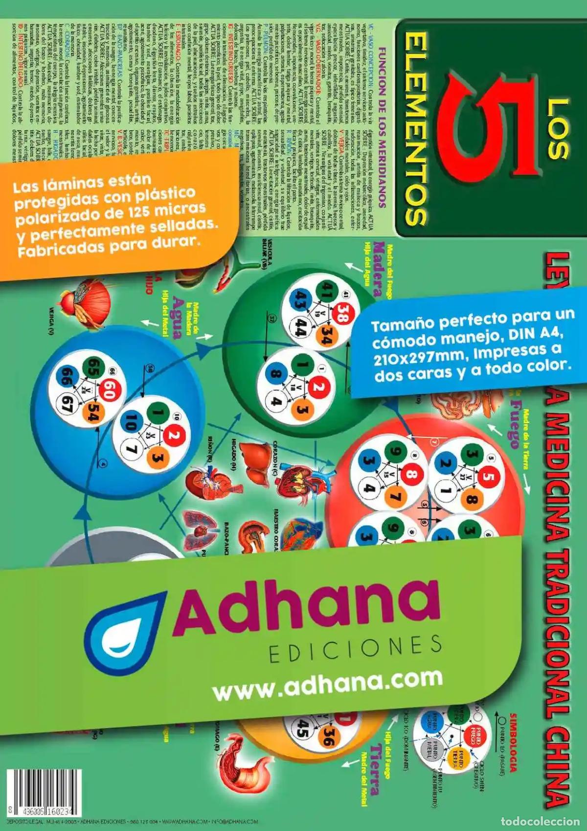 B&uuml;cher: 5 ELEMENTOS. LOS (LAMINA) Leyes de la medicina tradicional china - AA. VV.