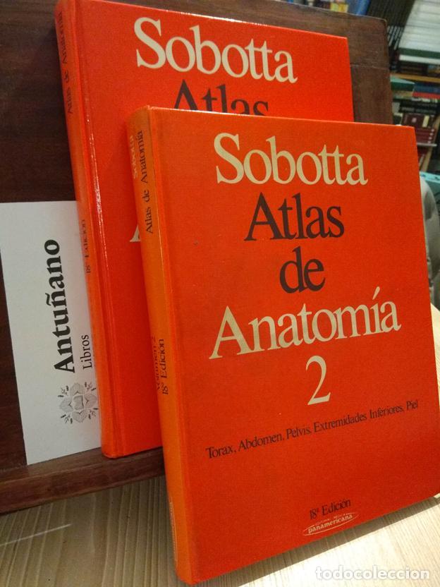 Libri di seconda mano: Sobotta Atlas de Anatom&iacute;a (dos tomos)
