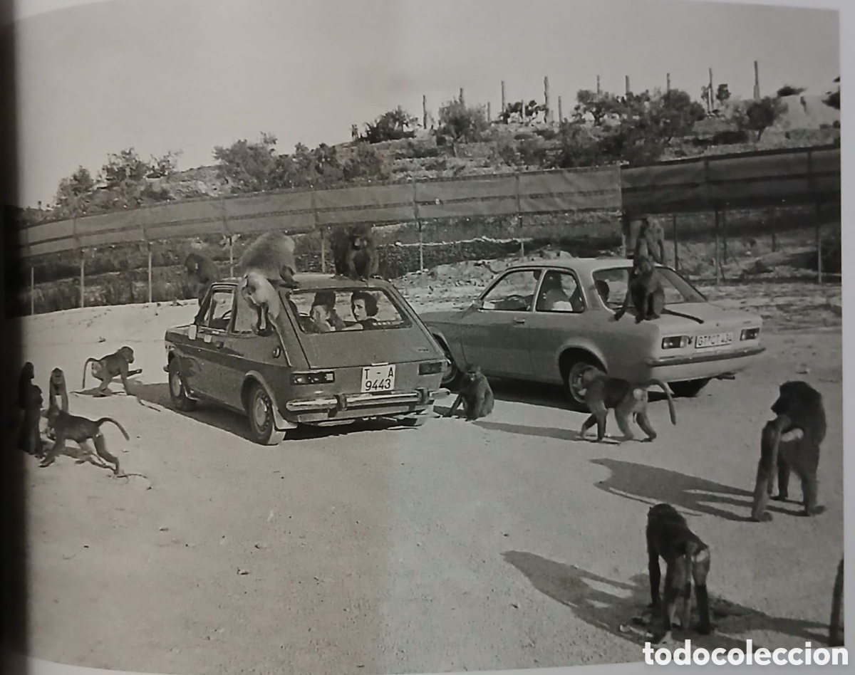 Libros: La Catalunya dels seixanta - Foto 2