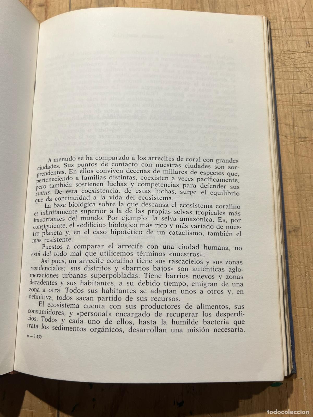 Libros: &iexcl;Fondo! Mares tropicales - Eduardo Admetlla - Foto 2