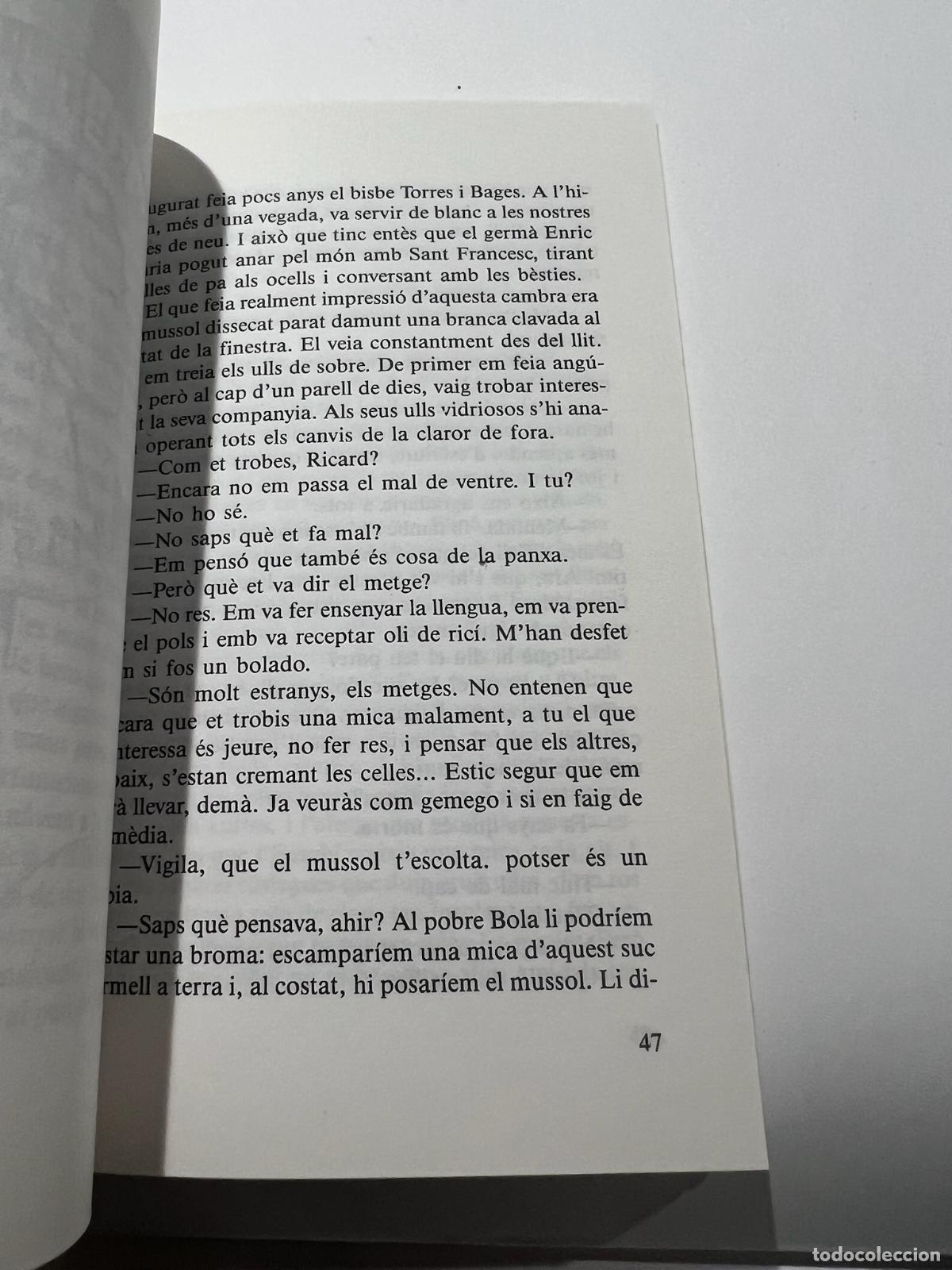 Libros: P&agrave;gines dun adolescent - Xavier Benguerel - Foto 3