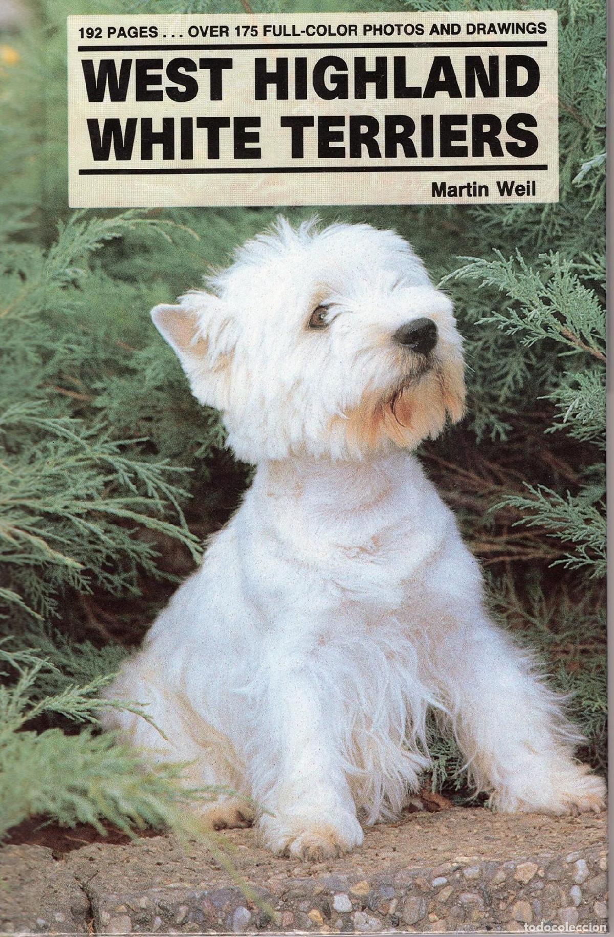 books: WEST HIGHLAND WHITE TERRIERS (KW DOG BREED LIBRARY) WEIL, MARTIN -