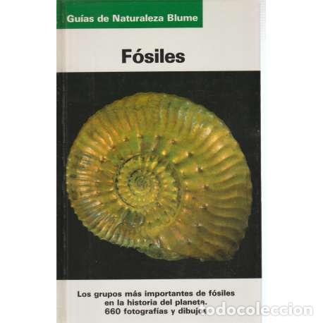 Libros: F&oacute;siles - Karl Beurlen / Gerhard Lichter - Foto 1