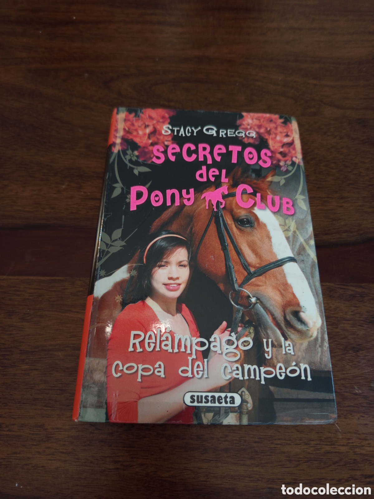 Libros: Rel&aacute;mpago y la copa del campe&oacute;n - Foto 1