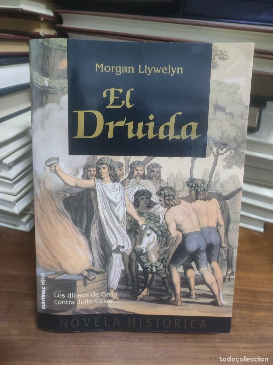 Libros: El Druida Morgan Llywelyn Mart&iacute;nez Roca - Foto 1