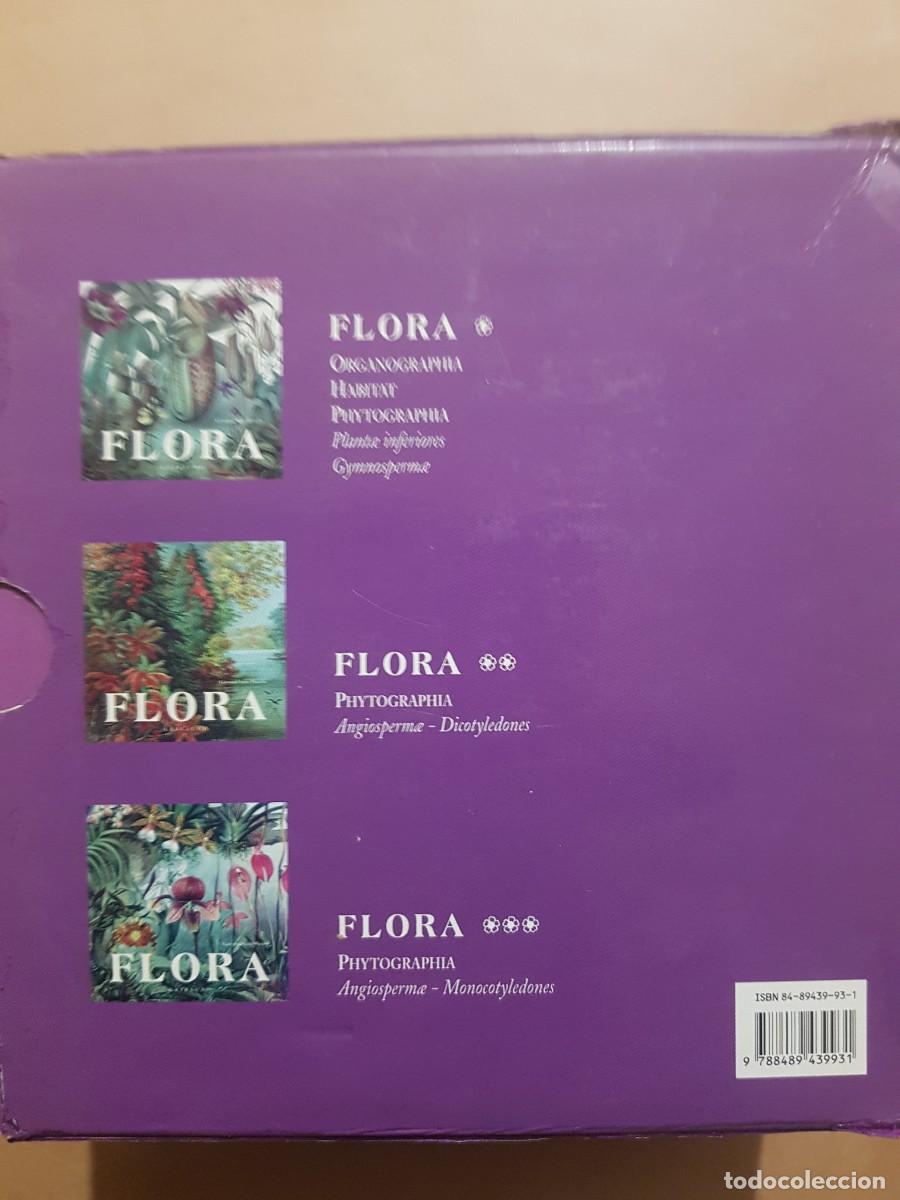 Libros: FLORA - GOVANNI SANTI-MASSINI - H.KLICZKOWSKI - EN 5 IDIOMAS (ILUST) - Foto 2