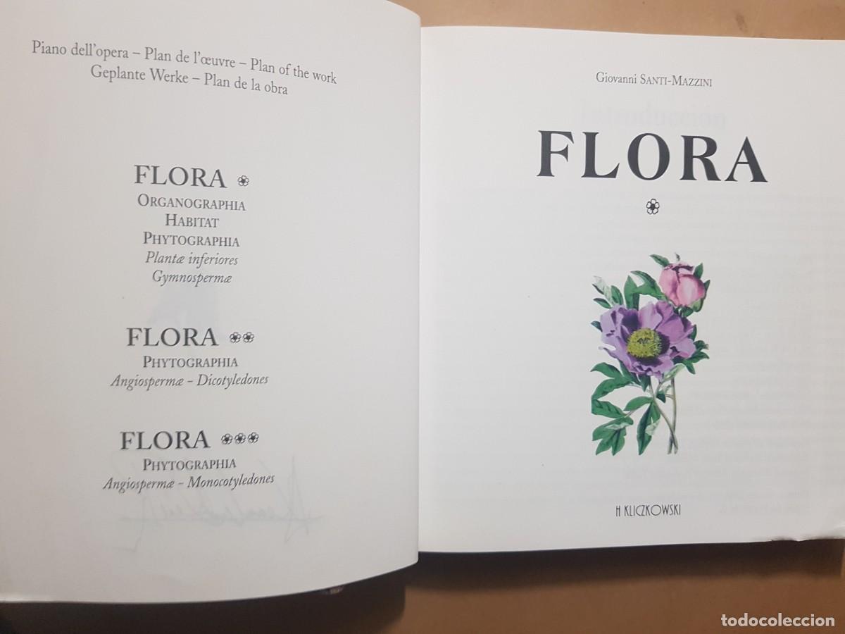 Libros: FLORA - GOVANNI SANTI-MASSINI - H.KLICZKOWSKI - EN 5 IDIOMAS (ILUST) - Foto 6