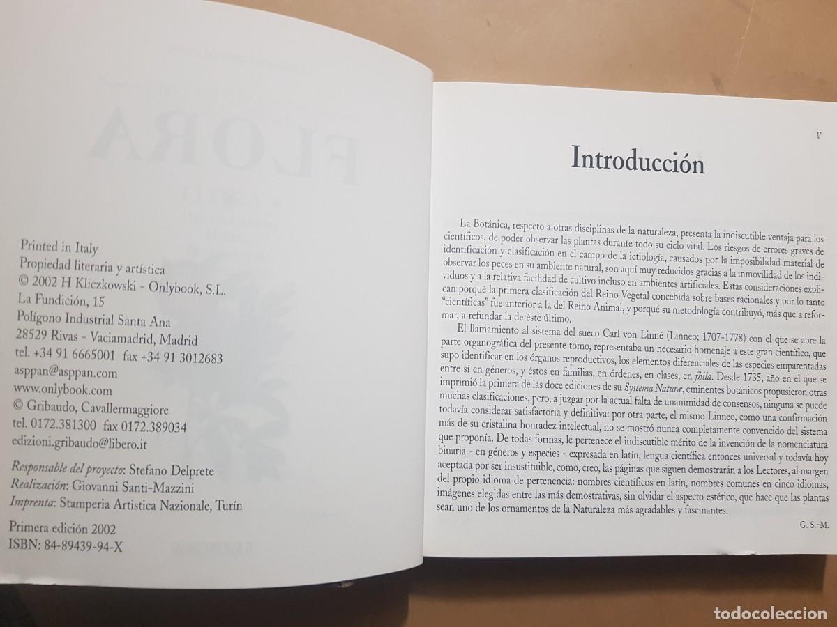 Libros: FLORA - GOVANNI SANTI-MASSINI - H.KLICZKOWSKI - EN 5 IDIOMAS (ILUST) - Foto 7