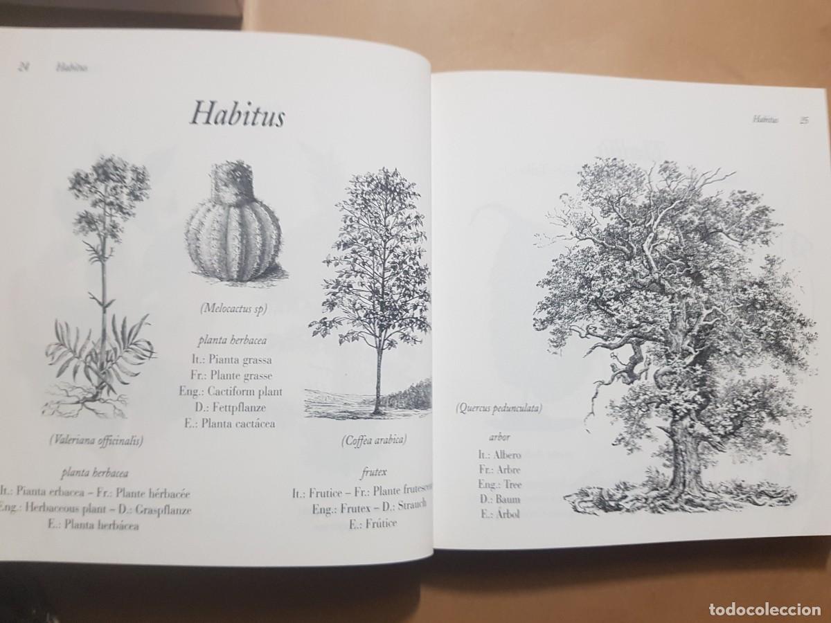 Libros: FLORA - GOVANNI SANTI-MASSINI - H.KLICZKOWSKI - EN 5 IDIOMAS (ILUST) - Foto 8