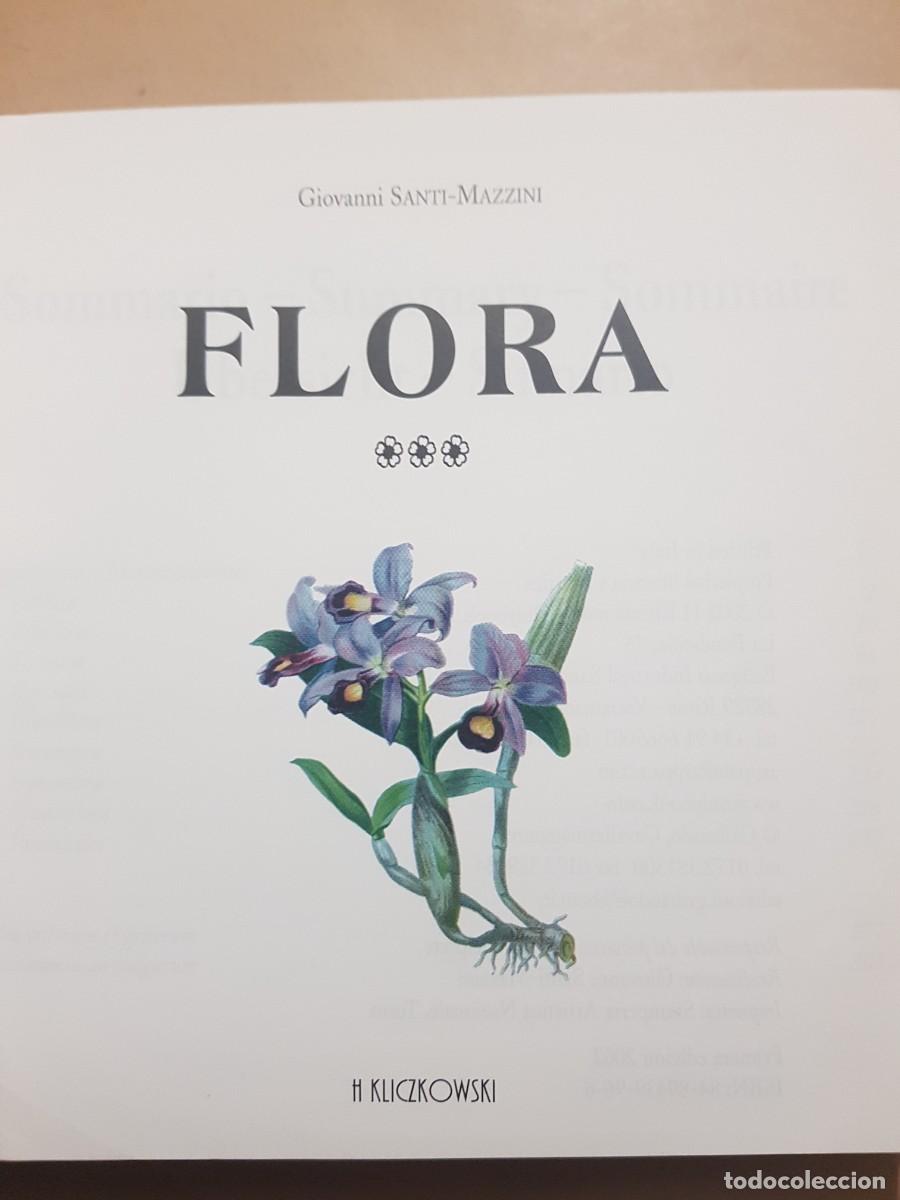 Libros: FLORA - GOVANNI SANTI-MASSINI - H.KLICZKOWSKI - EN 5 IDIOMAS (ILUST) - Foto 24