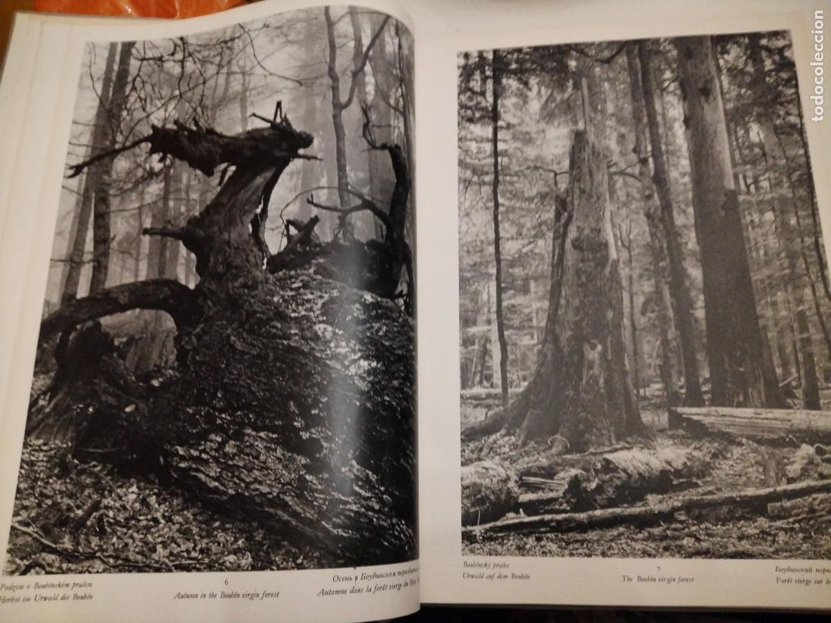 Libros: Vltava- karel plicka -1965 - Foto 6