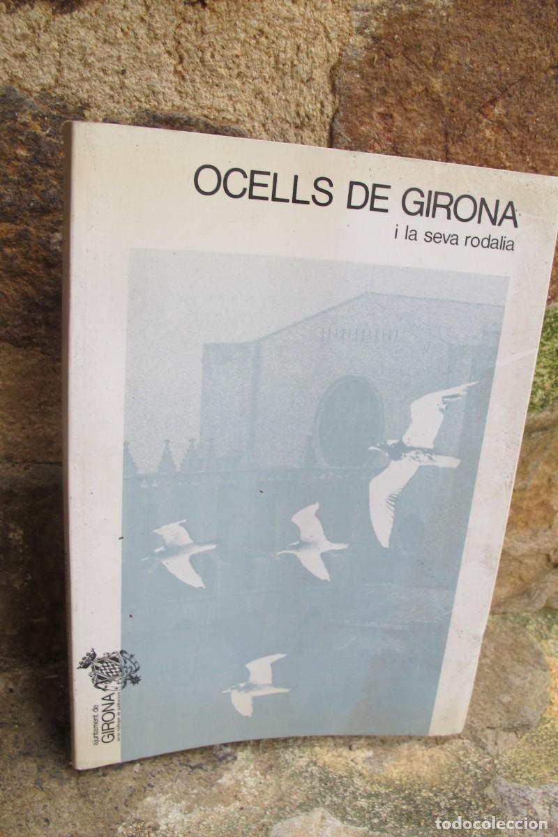Libri di seconda mano: OCELLS DE GIRONA I LA SEVA RODALIA. DAVID SUNYER, LLUIS MOTJE. AJUNTAMENT DE