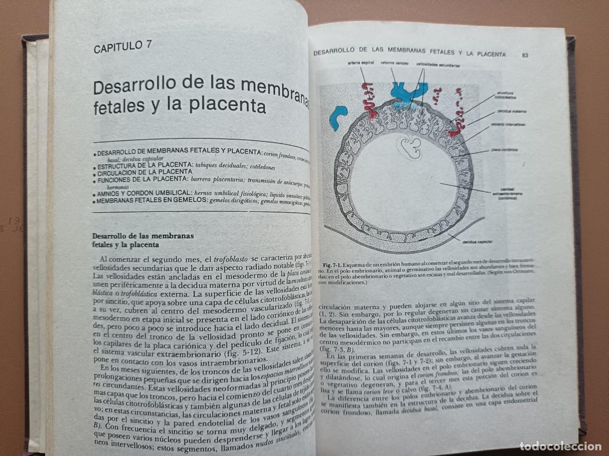 Libros: EMBRIOLOG&Iacute;A M&Eacute;DICA- J. LANGMAN- 1976 - Foto 4