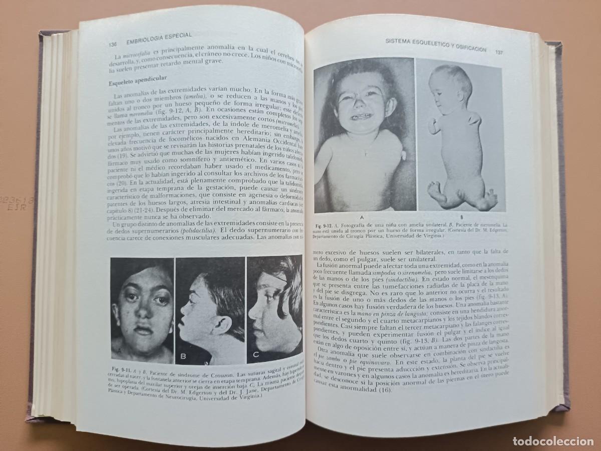 Libros: EMBRIOLOG&Iacute;A M&Eacute;DICA- J. LANGMAN- 1976 - Foto 5