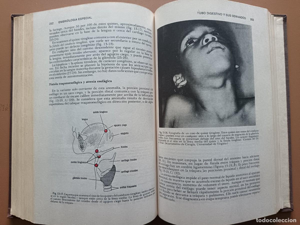 Libros: EMBRIOLOG&Iacute;A M&Eacute;DICA- J. LANGMAN- 1976 - Foto 7