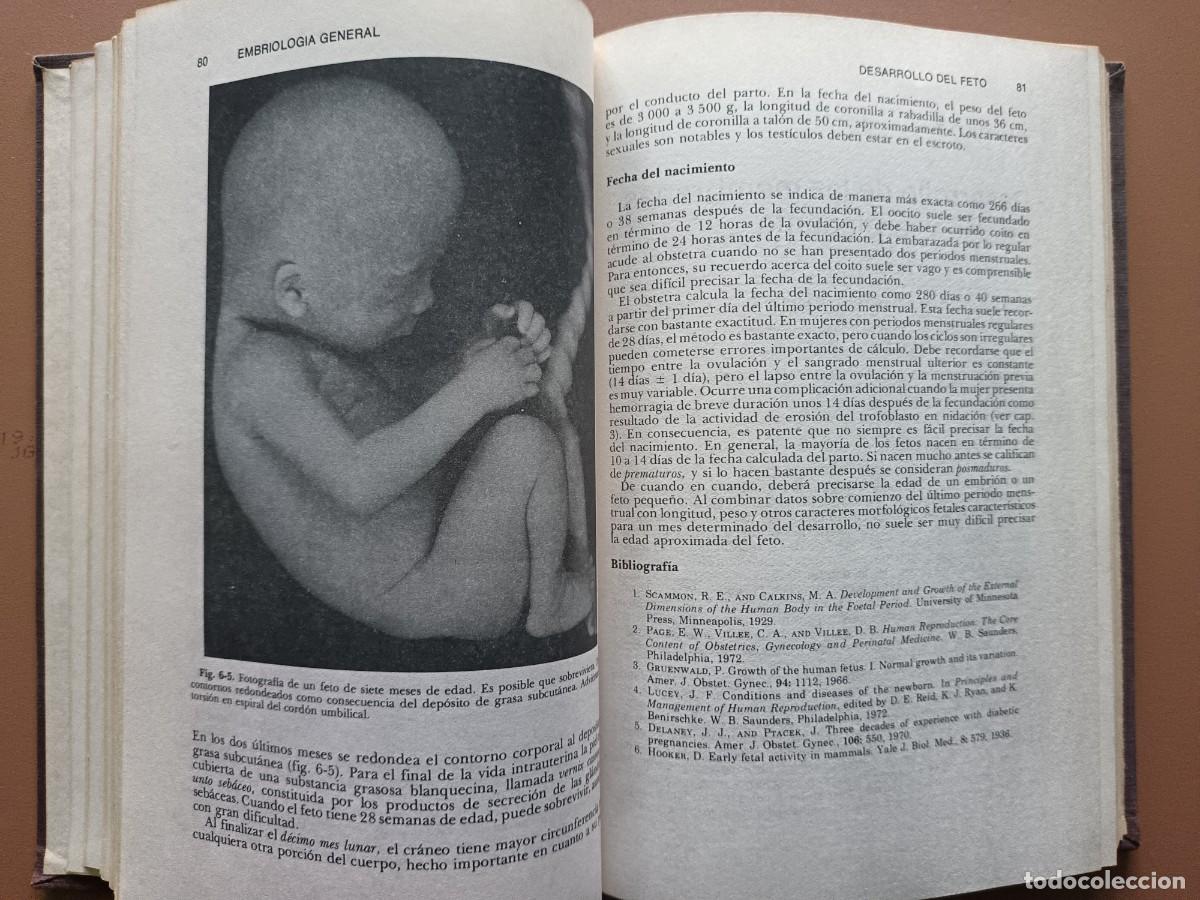 Libros: EMBRIOLOG&Iacute;A M&Eacute;DICA- J. LANGMAN- 1976 - Foto 8