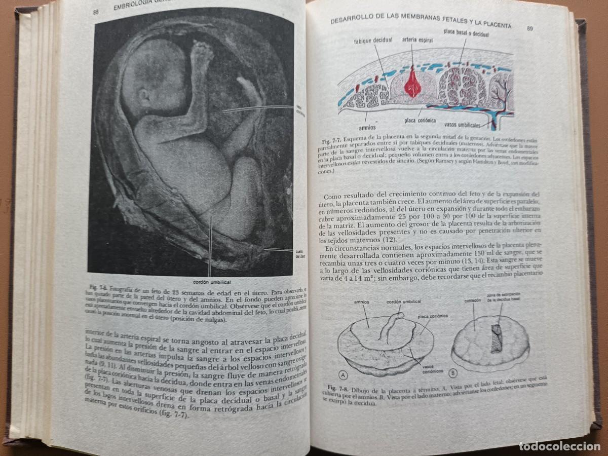 Libros: EMBRIOLOG&Iacute;A M&Eacute;DICA- J. LANGMAN- 1976 - Foto 9