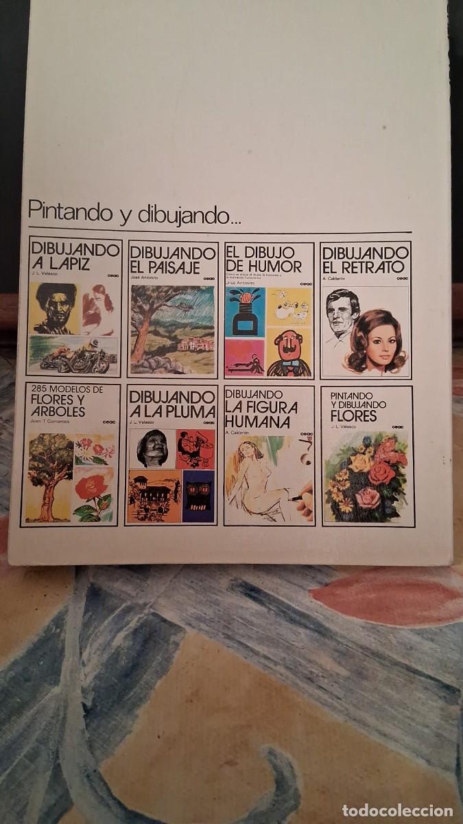 Libros: Lote de 8 libros Dibujo