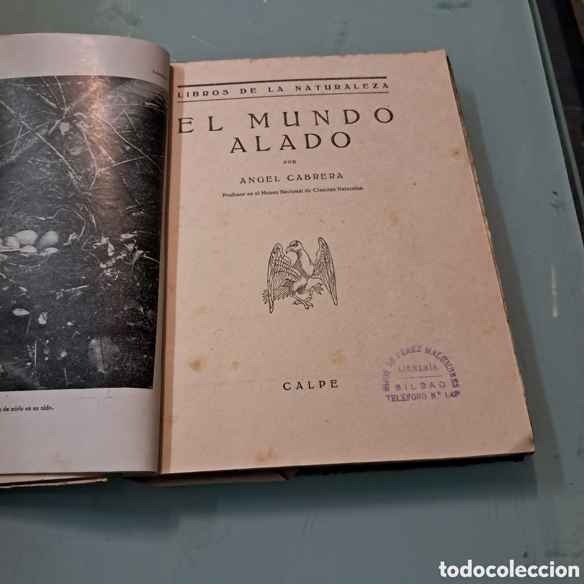 Libros: Angel Cabrera, El mundo alado, Calpe - Foto 2