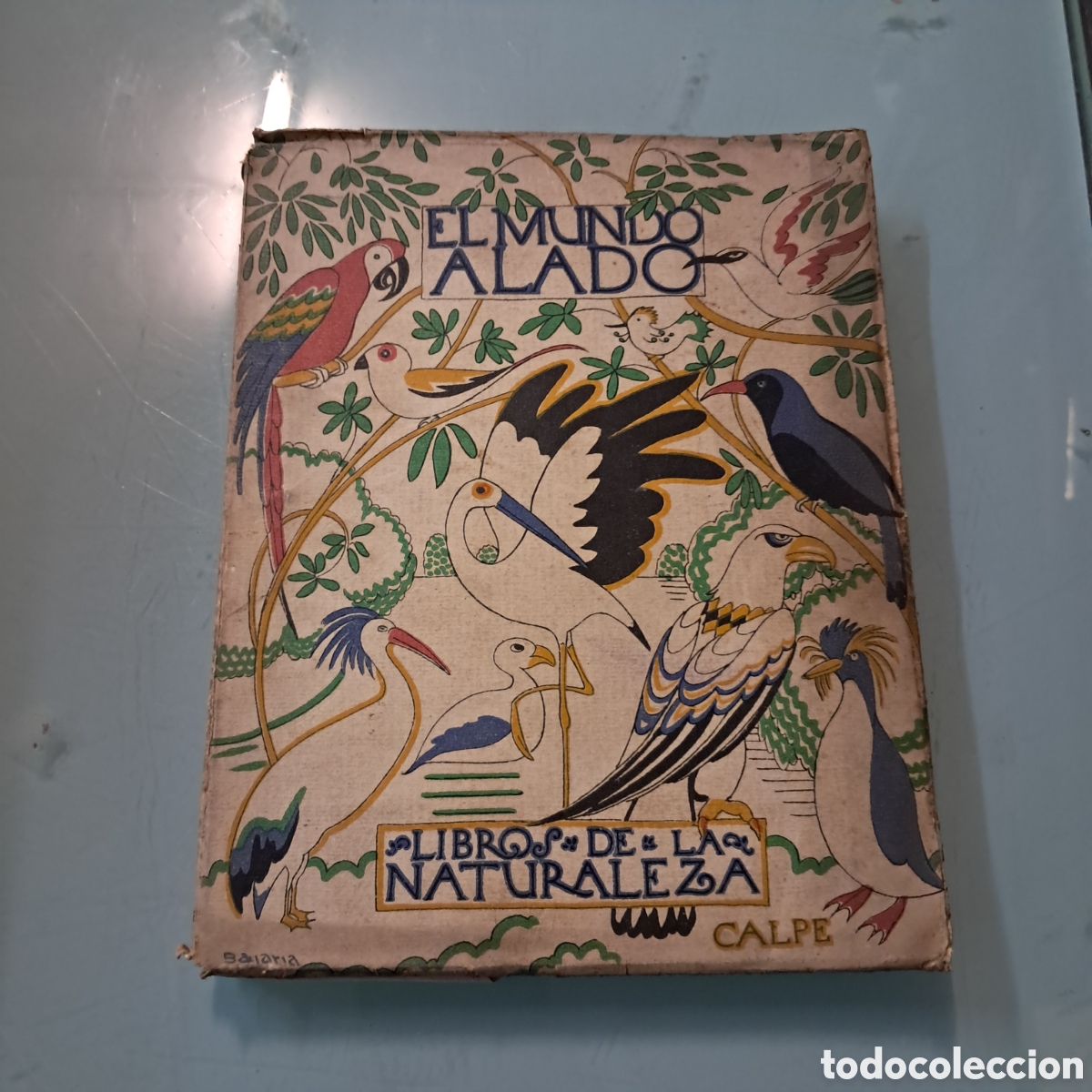 Libros: Angel Cabrera, El mundo alado, Calpe - Foto 1