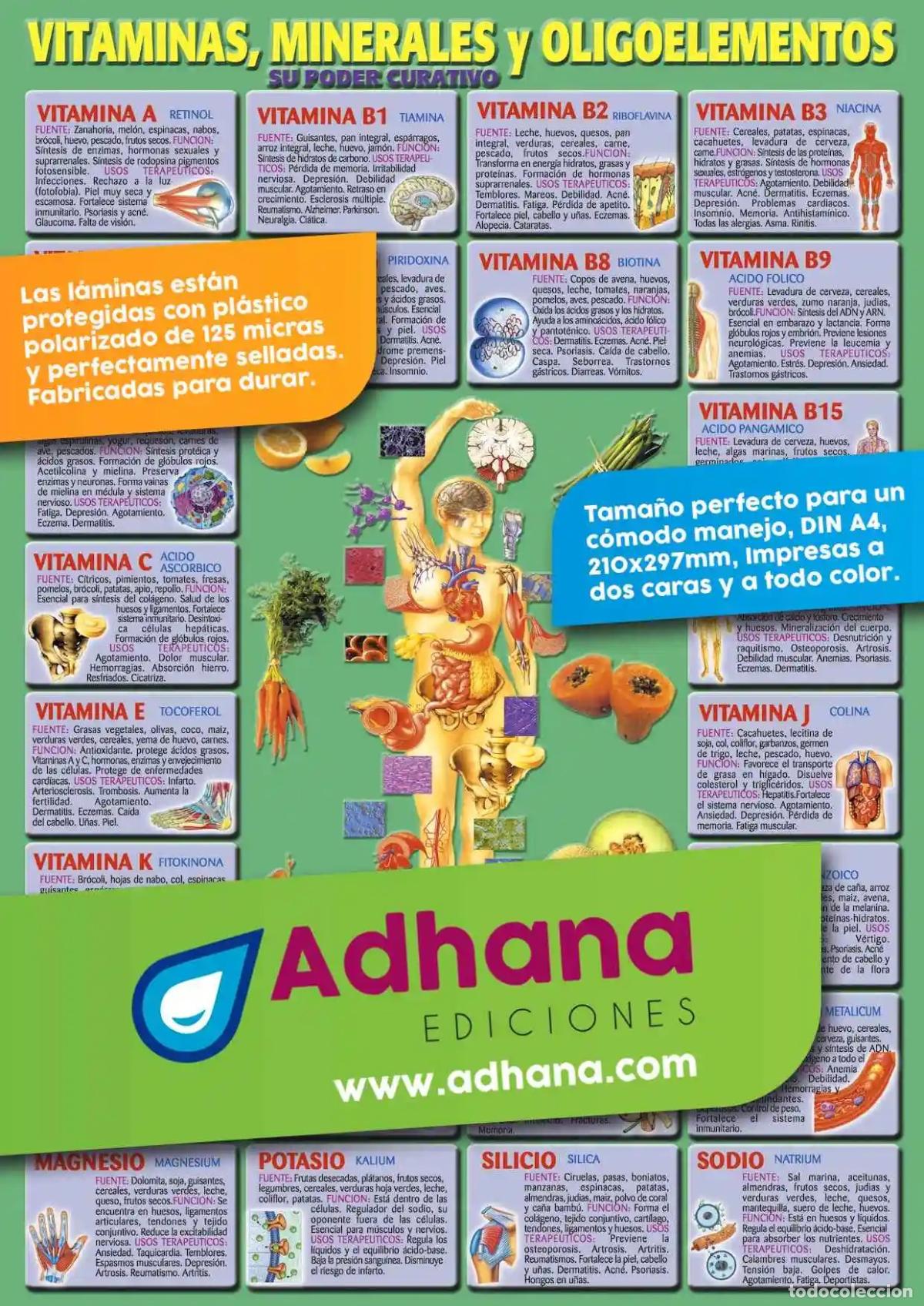 Libri di seconda mano: L&Aacute;MINA DE VITAMINAS, MINERALES Y OLIGOELEMENTOS - AA. VV.