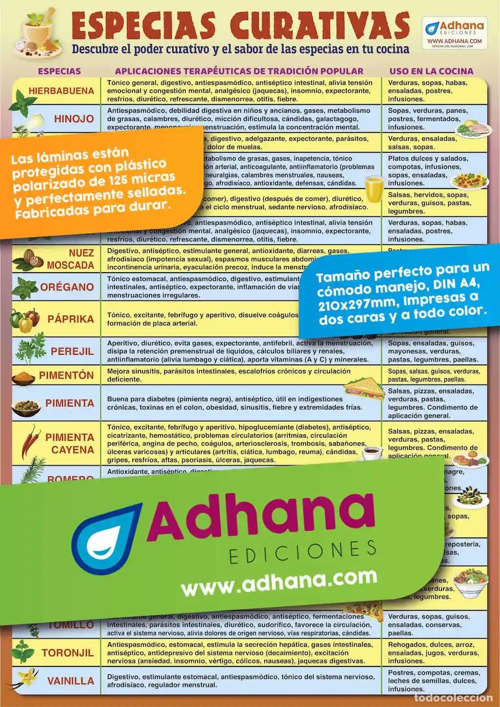Libros: ESPECIAS CURATIVAS (L&Aacute;MINA) - Foto 1