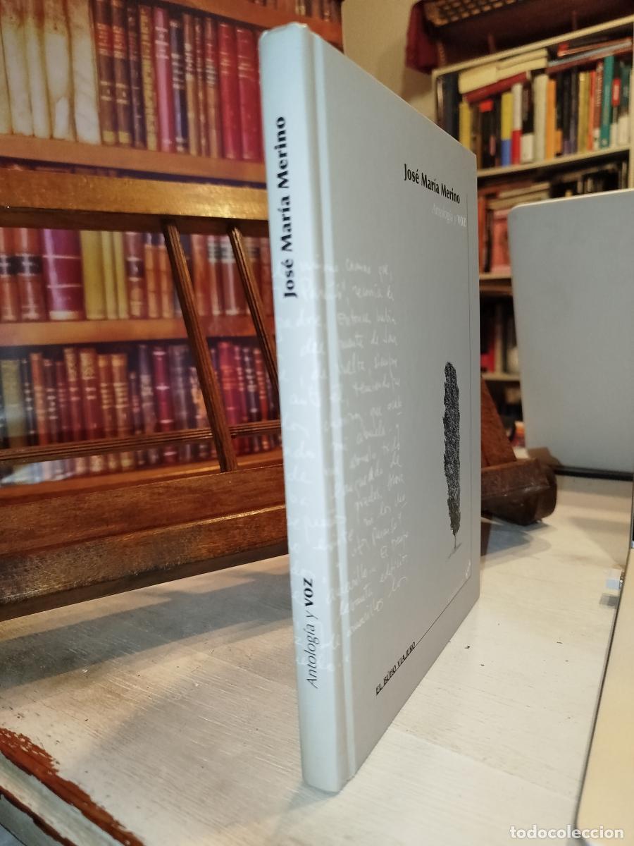 Libros: Antolog&iacute;a y voz - Merino, Jos&eacute; Mar&iacute;a - Foto 3