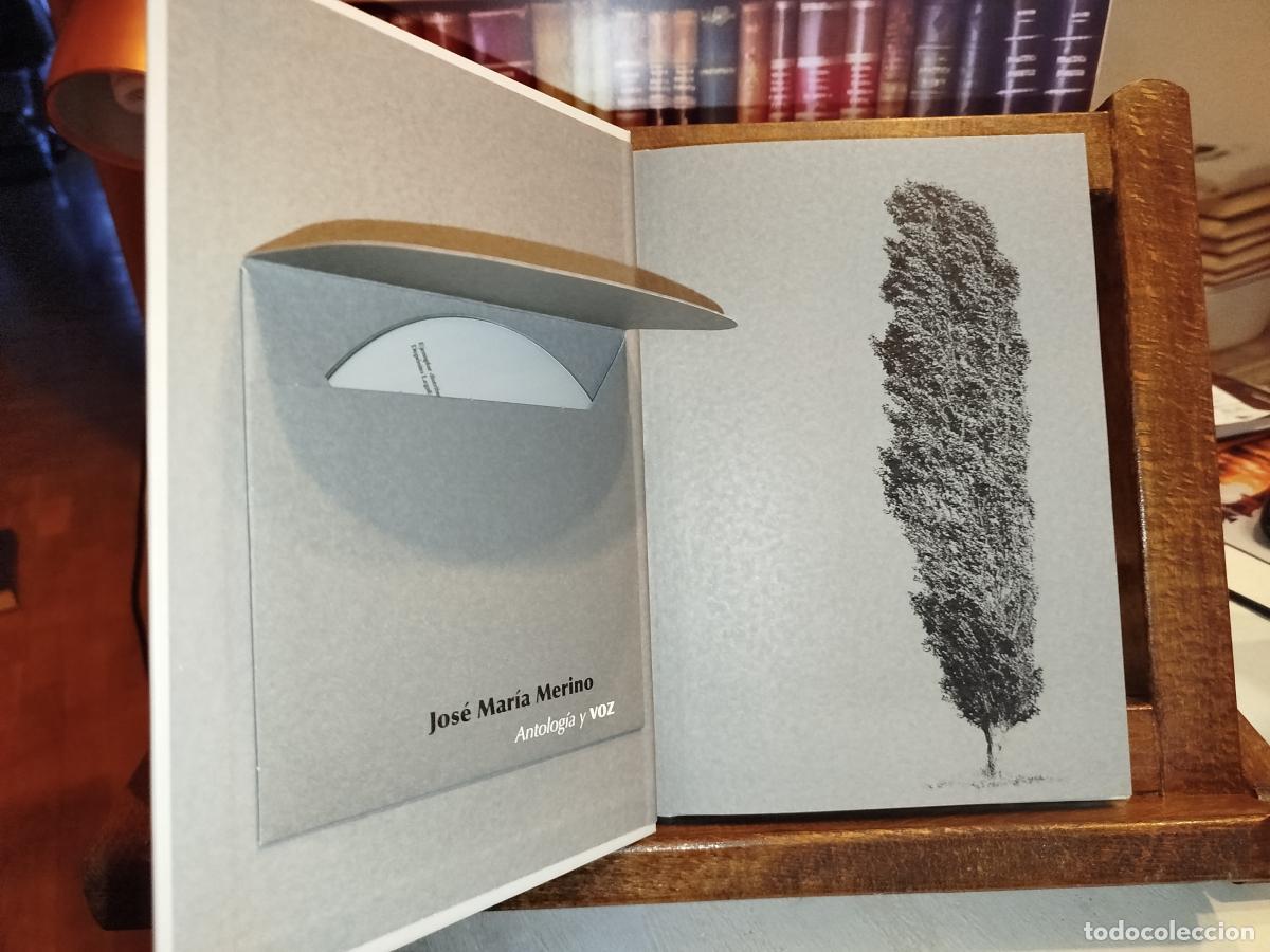 Libros: Antolog&iacute;a y voz - Merino, Jos&eacute; Mar&iacute;a - Foto 4