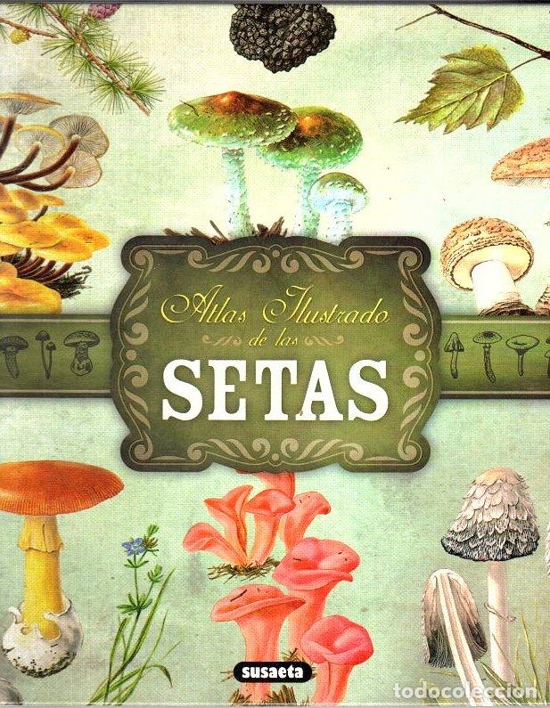 Libros: Setas - Becker, Georges - Foto 1