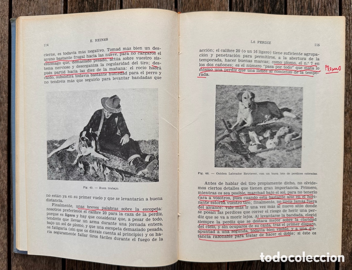 Libros: La perdiz y otras cazas de pluma - Foto 3