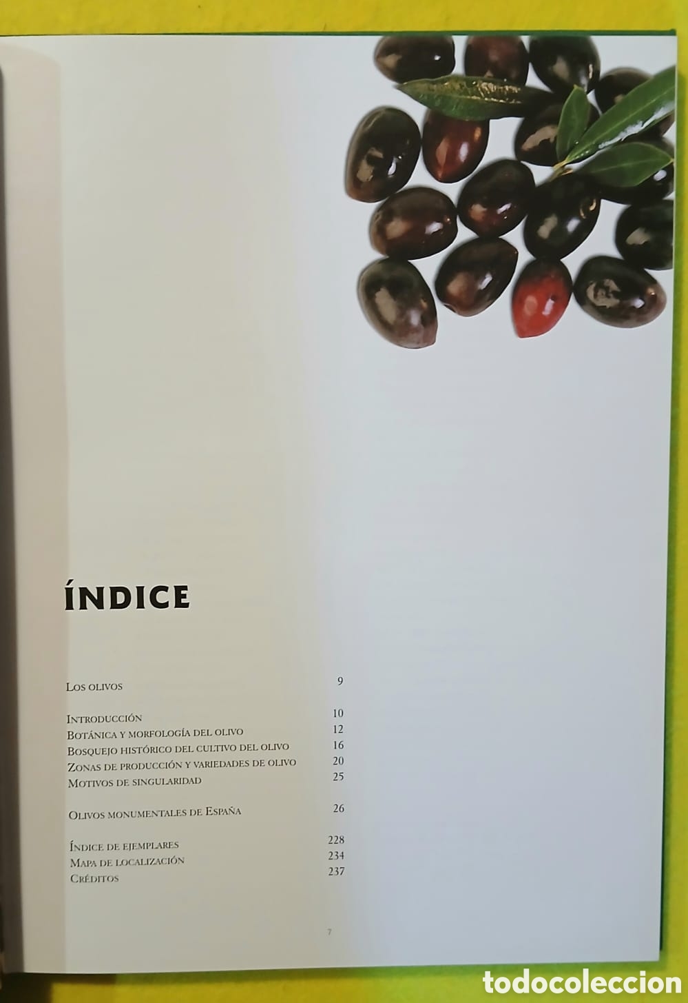 Libros: OLIVOS MONUMENTALES DE ESPA&Ntilde;A - Foto 3