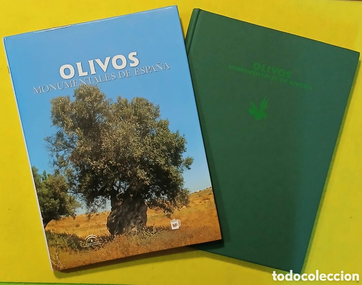 Libros: OLIVOS MONUMENTALES DE ESPA&Ntilde;A - Foto 1