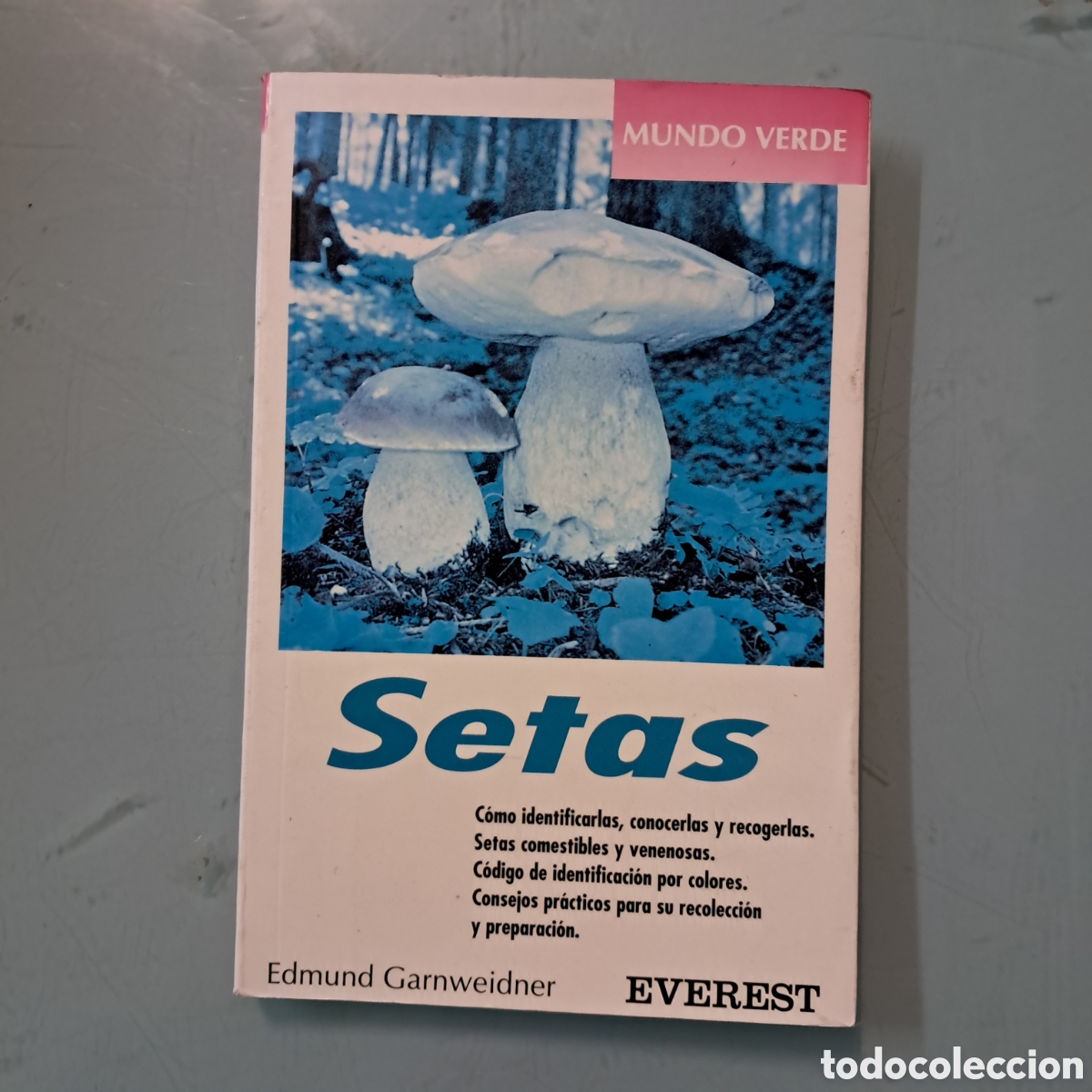 Libros: Edmund Garnweidner Ser&aacute;s, Everest - Foto 1