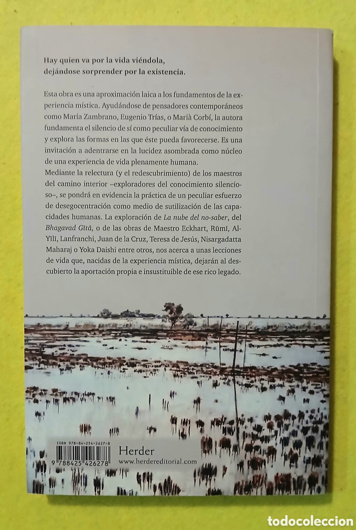 Libros: La verdad del silencio - Foto 2