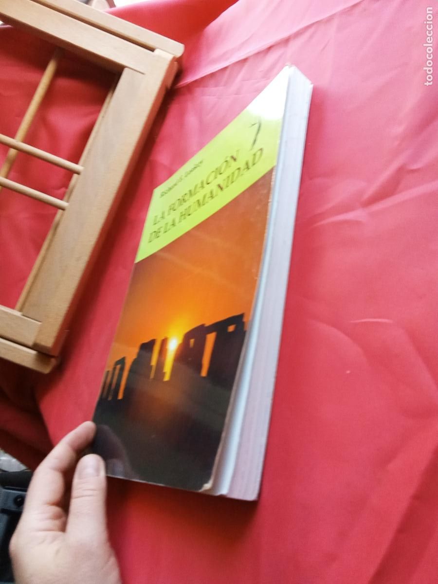 Libros: La formaci&oacute;n de la humanidad. Richard E. Leakey CO.1740 - Foto 2