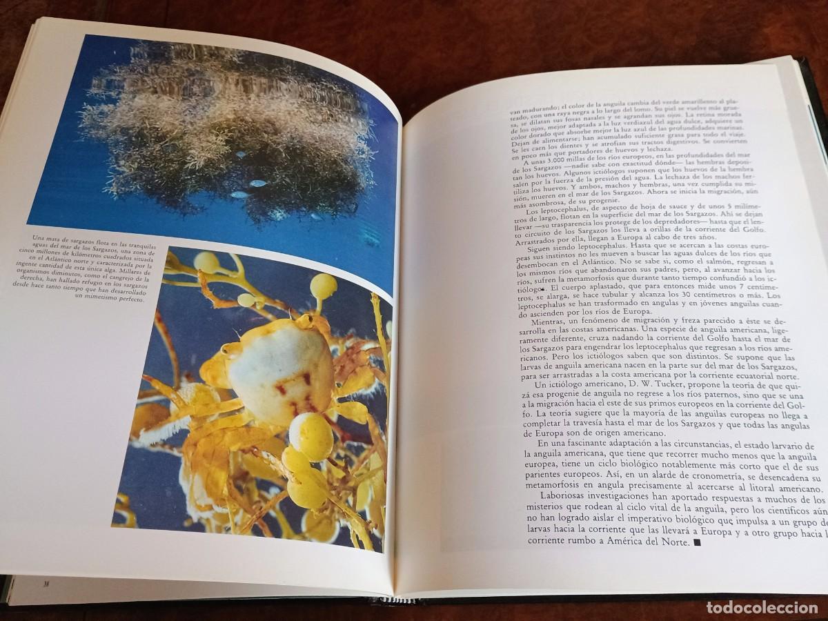 Libros: Colecci&oacute;n Planeta Tierra - Foto 9