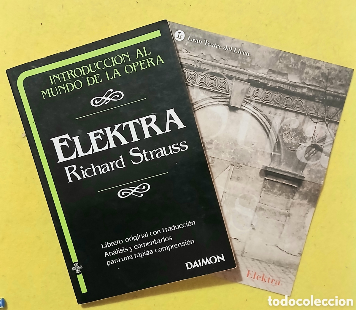 Livros em segunda m&atilde;o: Elektra, Richard Strauss