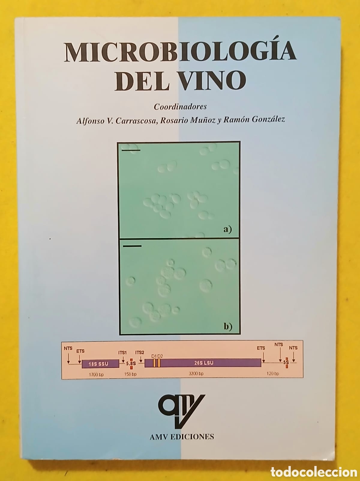 Libros: Microbiologia del vino - Foto 1