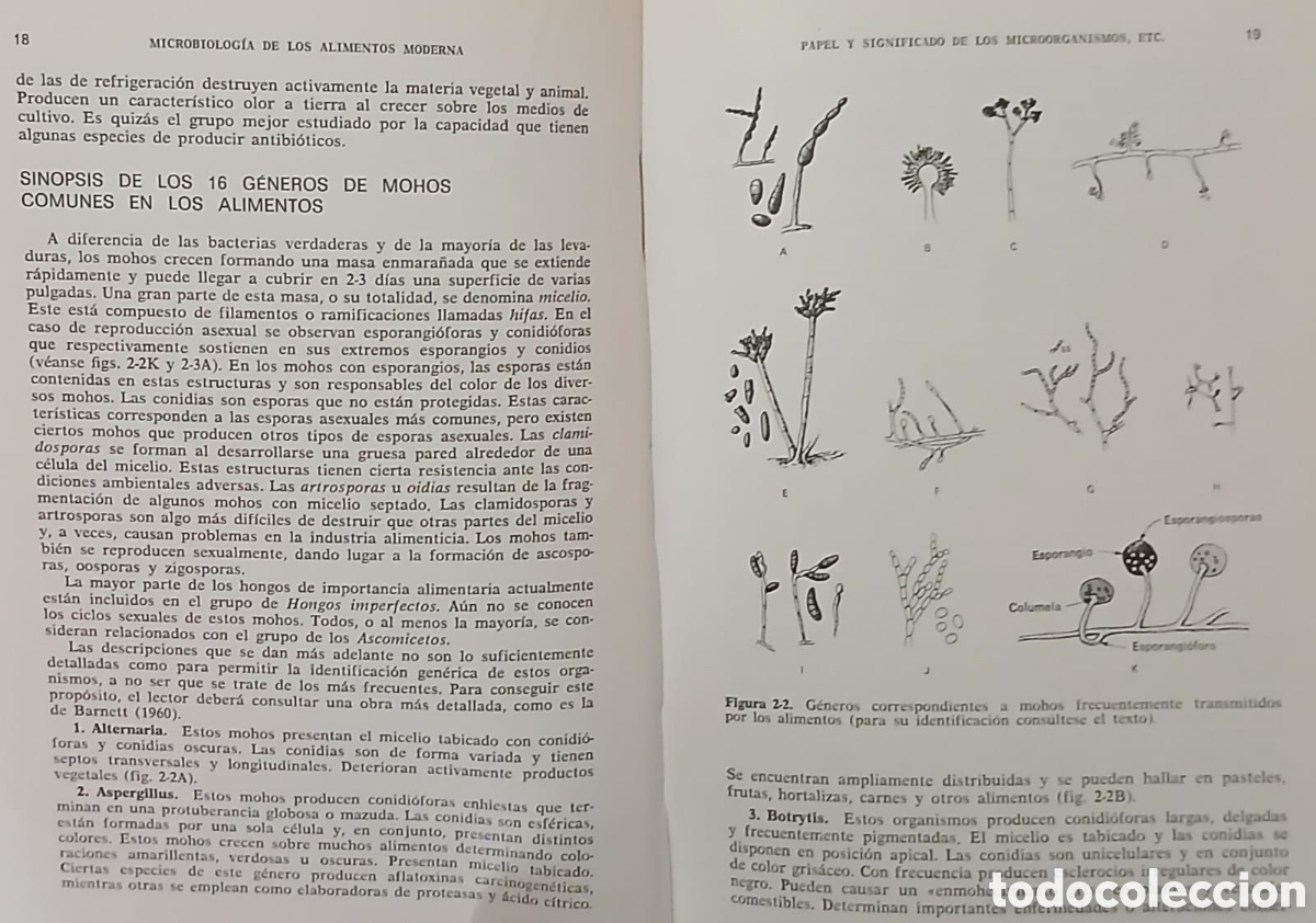 Libros: microbiologia moderna de los alimentos - Foto 2