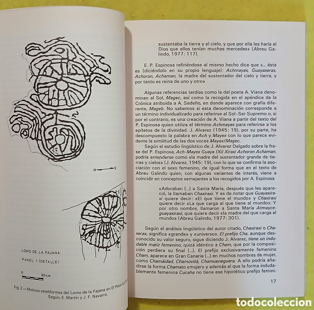 Libros: La religi&oacute;n de los guanches - Foto 5