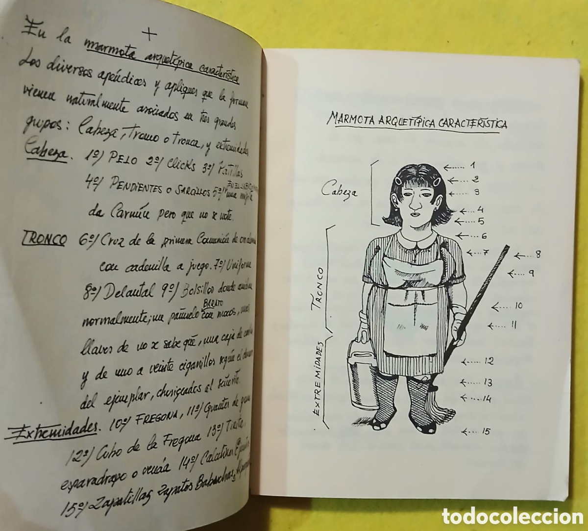 Libros: La marmota universal - Foto 8