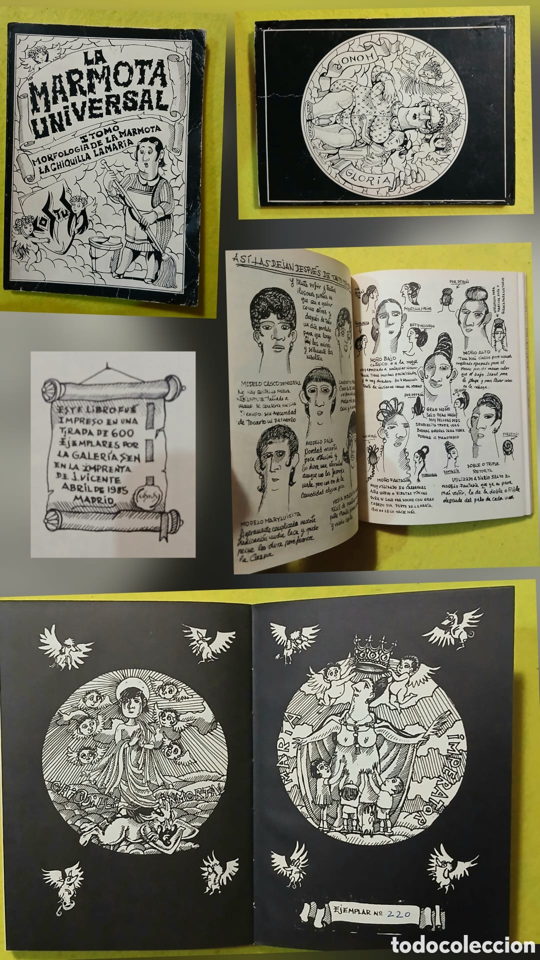 Libros: La marmota universal