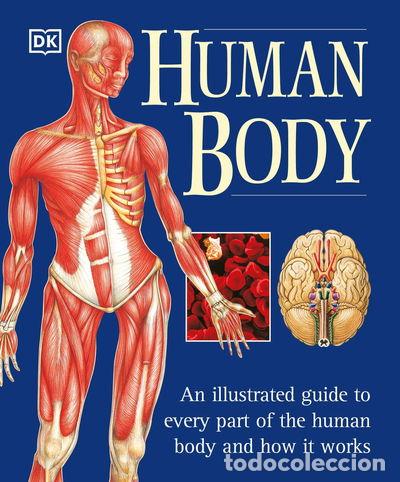 Libros: Human Body- 9780789479884 - Foto 1