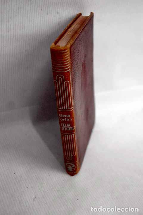 Libros: Celia, institutriz en Am&eacute;rica.- Fort&uacute;n, Elena - Foto 1