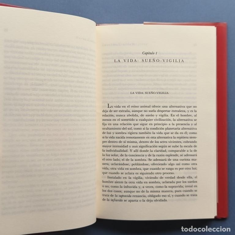 Libros: Los Sue&ntilde;os y el Tiempo. - Zambrano, Mar&iacute;a. - Foto 4