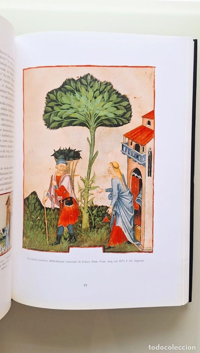 Libros: Theatrum Sanitatis, Biblioteca Casanatense, Moleiro Editor, Biling&uuml;e - Foto 8