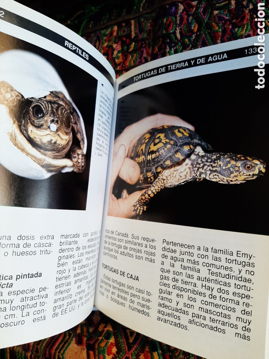 Libros: Guia completa de los reptiles John Coborn - Foto 4