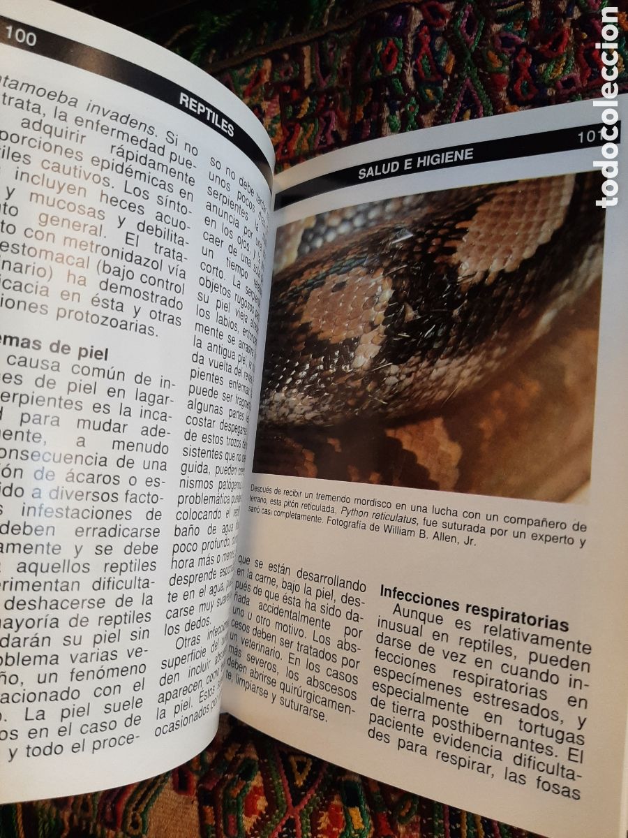 Libros: Guia completa de los reptiles John Coborn - Foto 5